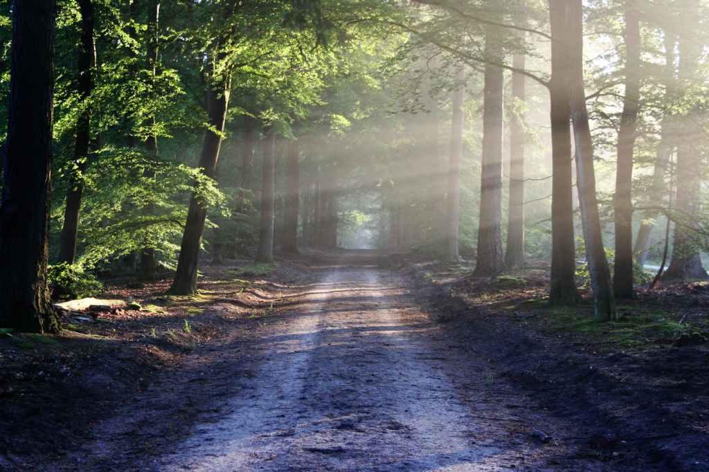 Spirit Chronicles: Miracle on Old Town&nbsp;Road