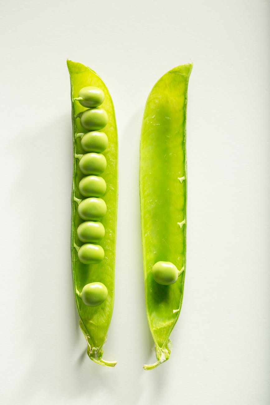 Americana: Polly and Beona- Two Peas in a Pod
