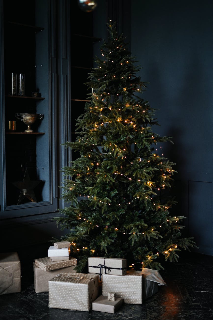 Family: All I Want For Christmas 2020 and Beyond