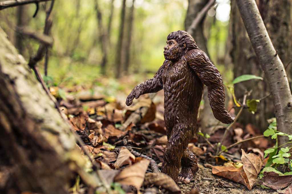 Spirit Chronicles: The Hairy Men and the&nbsp;Dog