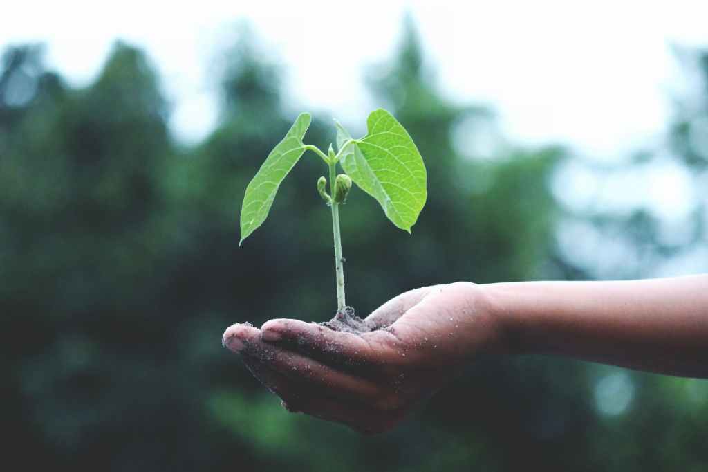 Spirit Chronicles: We Reap What We&nbsp;Sew