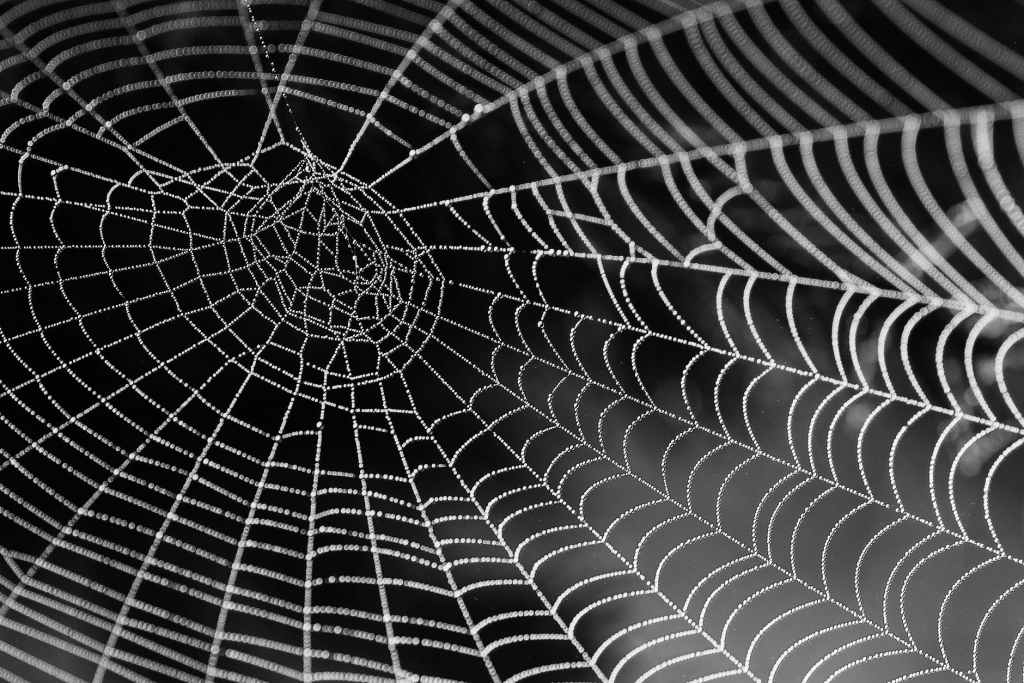 Spirit Chronicles: Empty Old Houses, Creepy Crawlers and the Old Men.