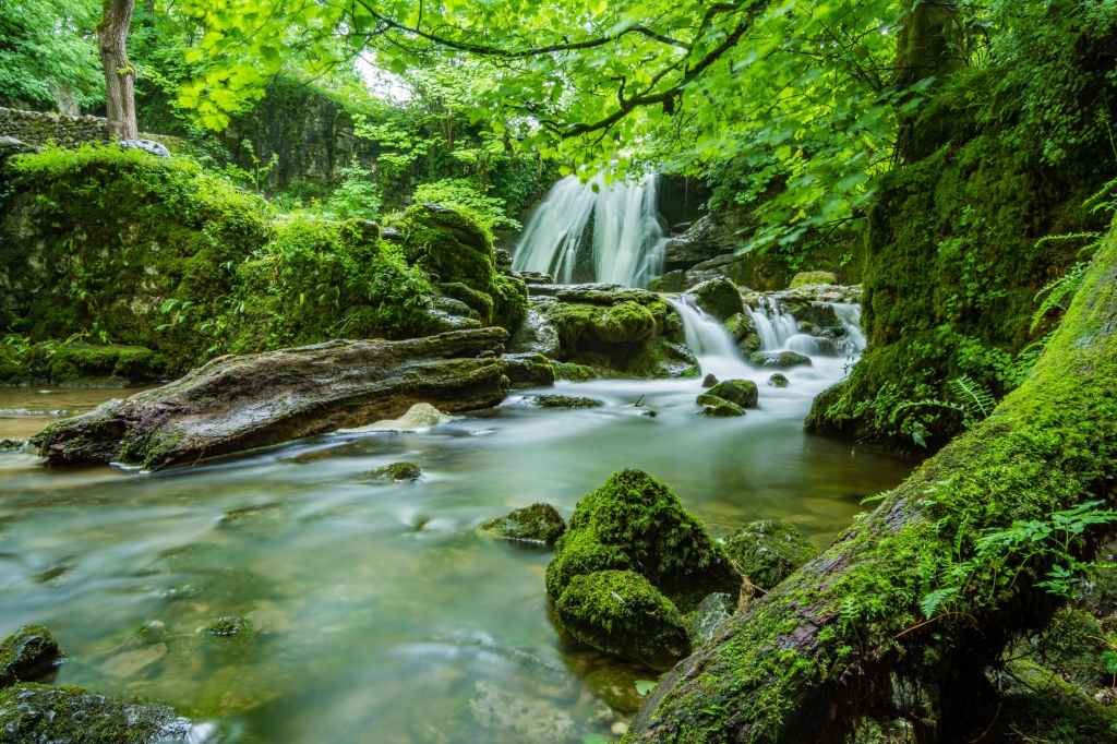 Spirit Chronicles: The Water Bridge