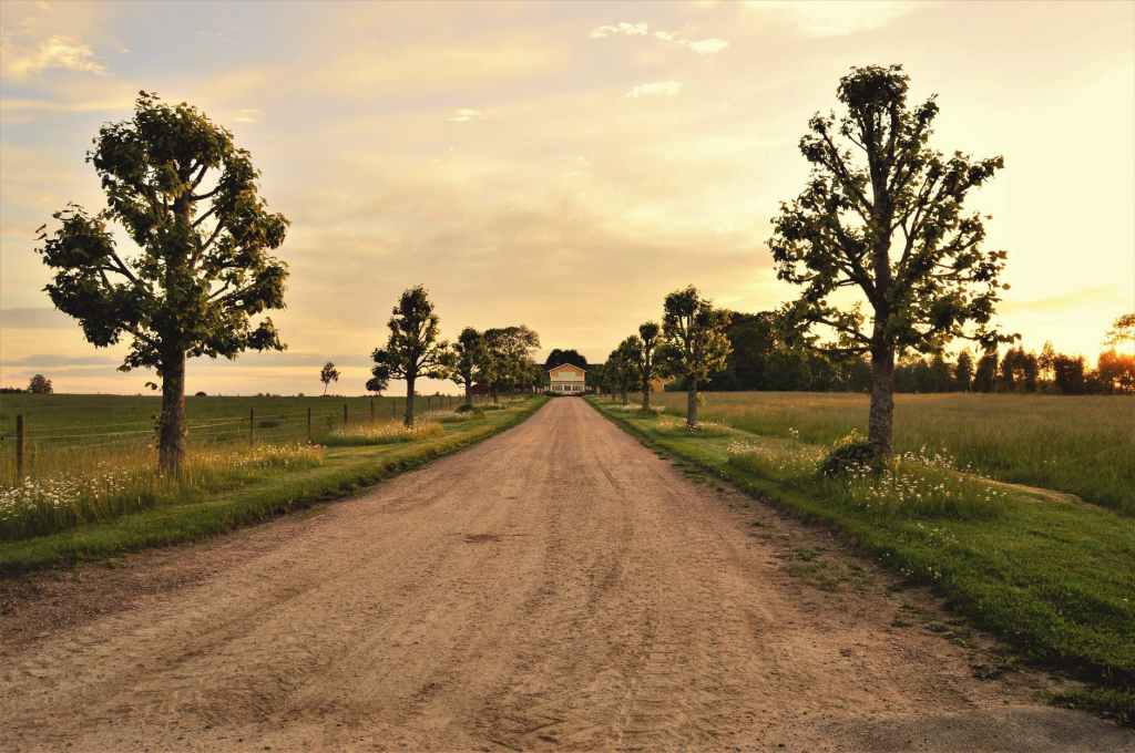 Spirit Chronicles: The Road of Choices