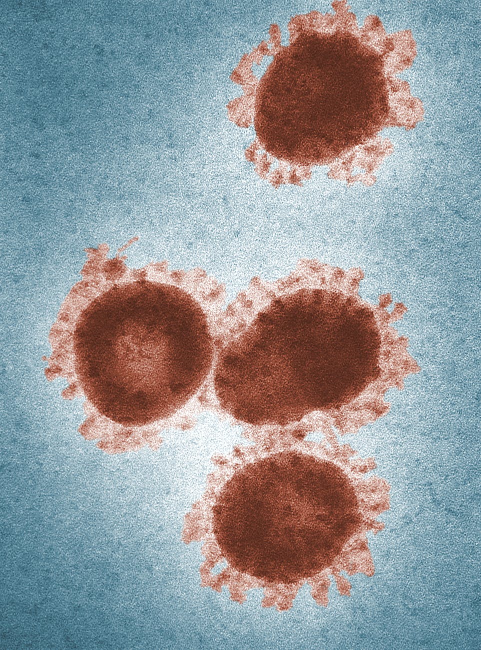 Spirit Chronicles: The Virus