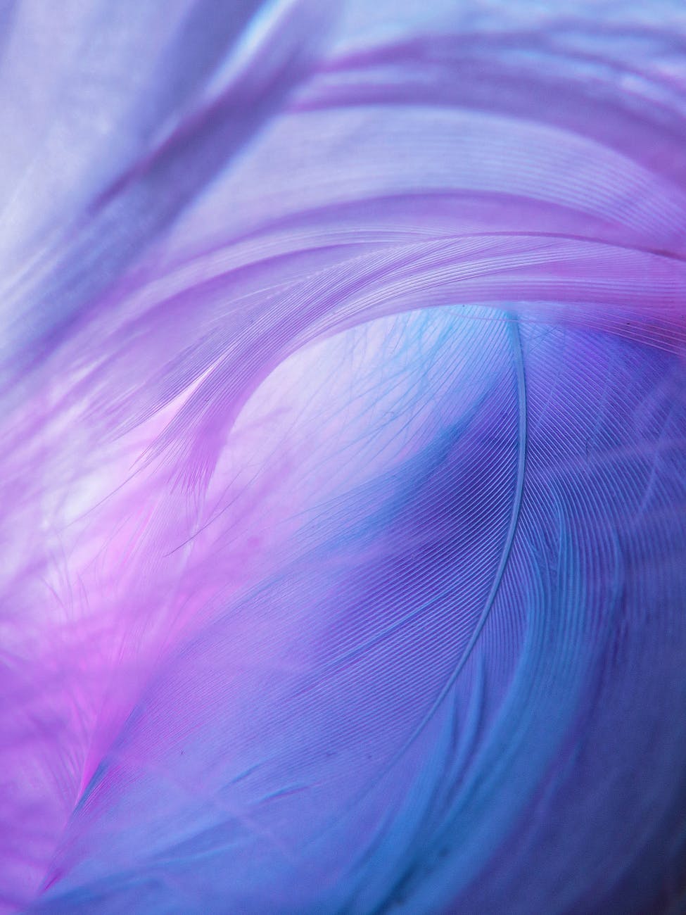Spirit Chronicles: Blue and Purple Dream&nbsp;Colors