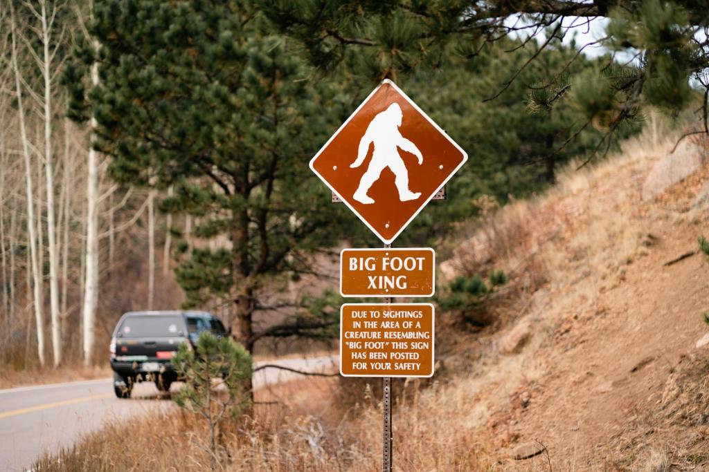 Bigfoot night of terror