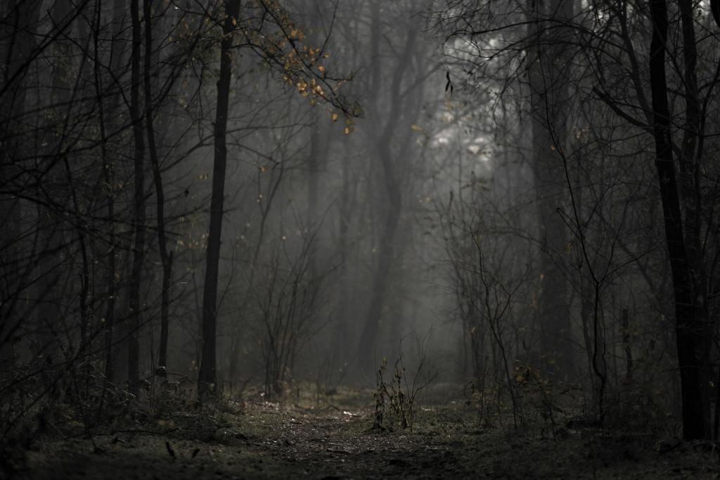 “The Veil Unraveled: A Dream of Dawn and&nbsp;Darkness”