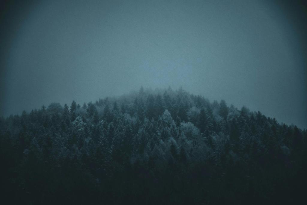 Night Of Terror In The Rockies
