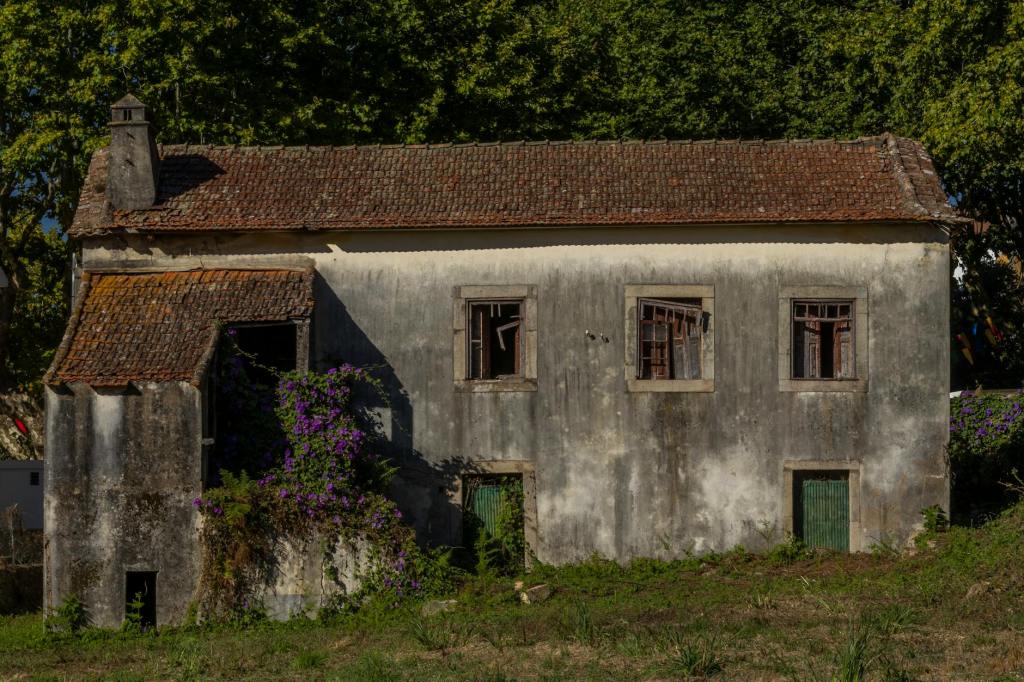 The Centennial Slaughter at Blackthorn Manor